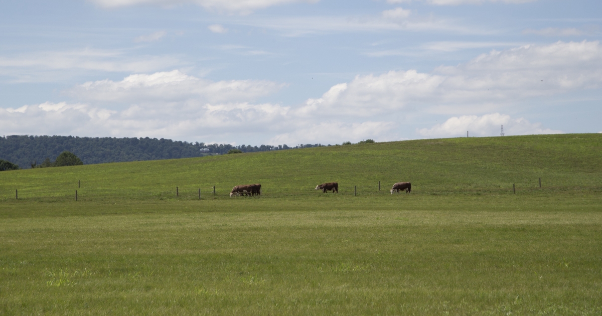 The Farm Bill Conservation Programs and Coastal Program U.S. Fish